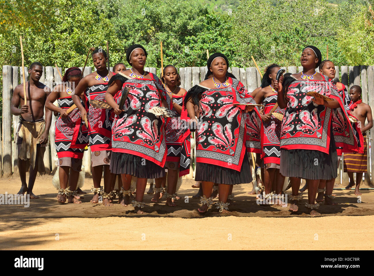 Troupe traditionnelle swazie chantant et dansant au village culturel de Mantenga swazi (Ligugu Lemaswati) Vallée d'Ezulwini, eSwatini (anciennement Swaziland) Banque D'Images
