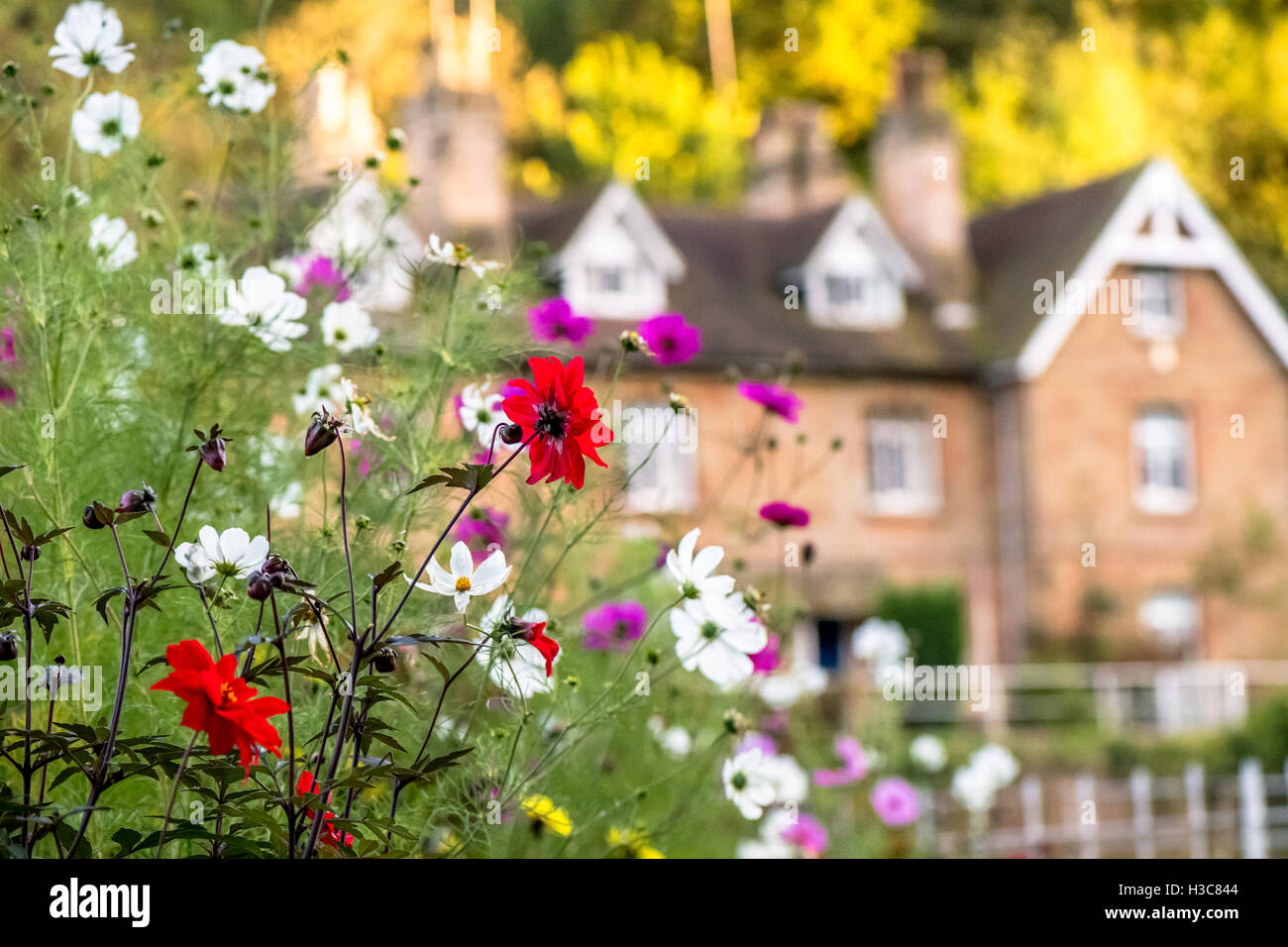 Les fleurs cultivées dans un lit de fleur de pierre construit des maisons dans l'arrière-plan. Banque D'Images