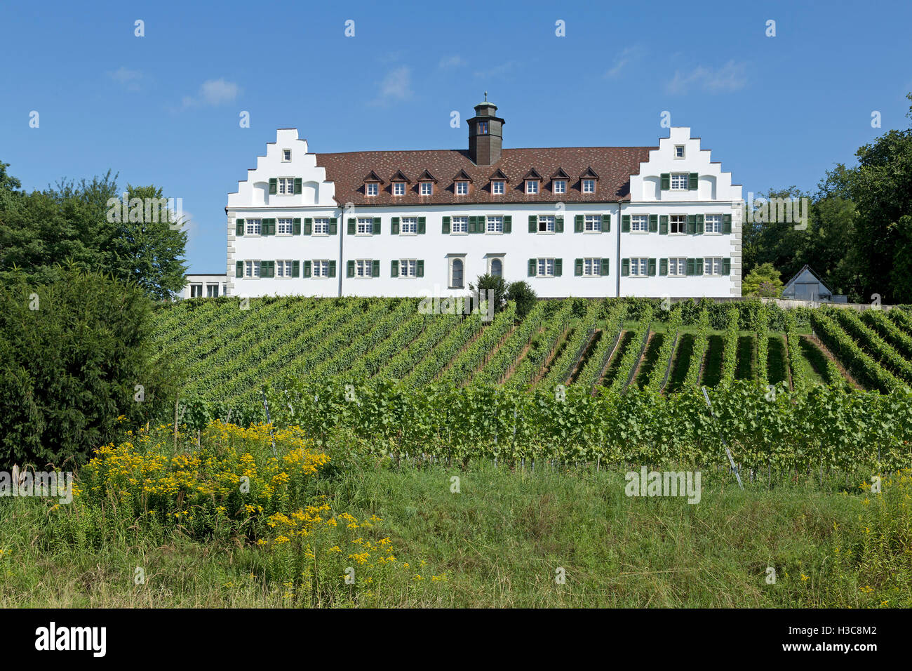 Le Château de Binningen, Immenstaad, Lac de Constance, Bade-Wurtemberg, Allemagne Banque D'Images