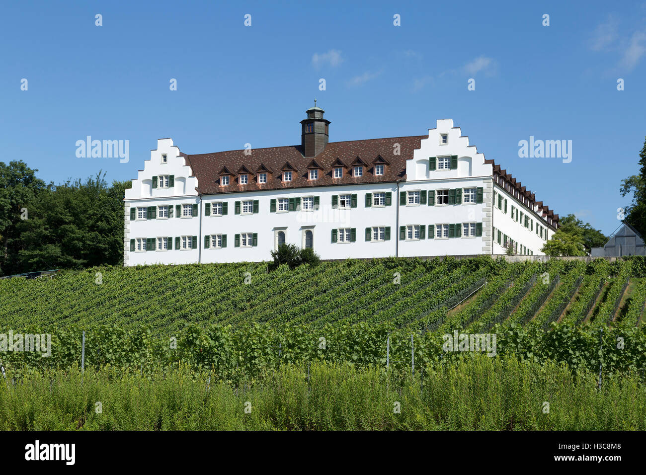 Le Château de Binningen, Immenstaad, Lac de Constance, Bade-Wurtemberg, Allemagne Banque D'Images