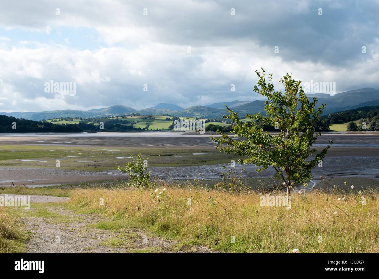 La rivière Conwy Banque D'Images