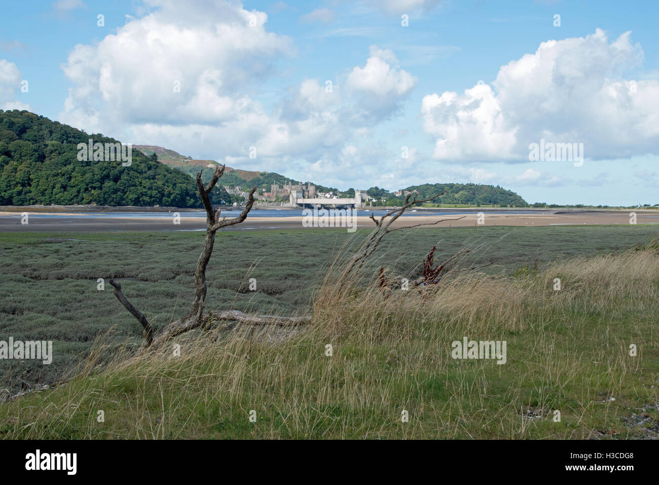 Rivière Conwy et Château de Conwy Banque D'Images