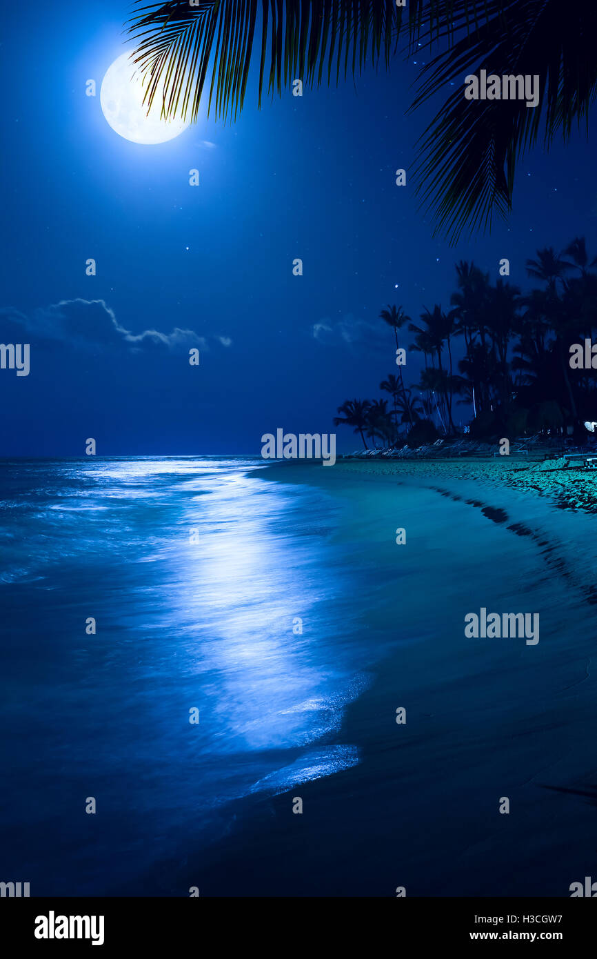 Moonlight Art tropical sea beach nuit ; locations au Palms Resort Banque D'Images