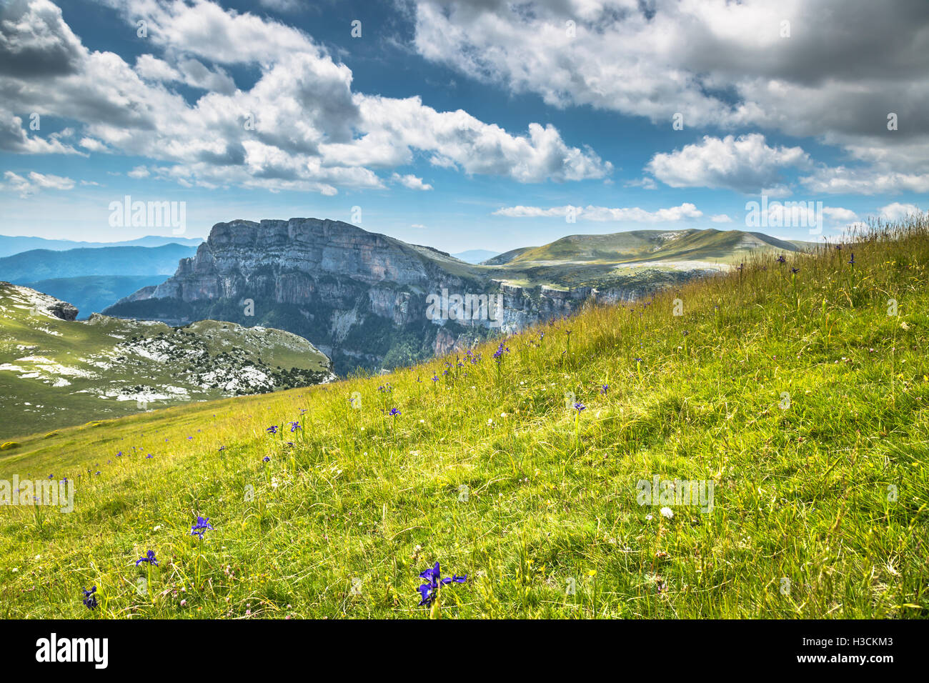 Pyrénées - paysage Canyon Anisclo en été. Huesca, Espagne Banque D'Images