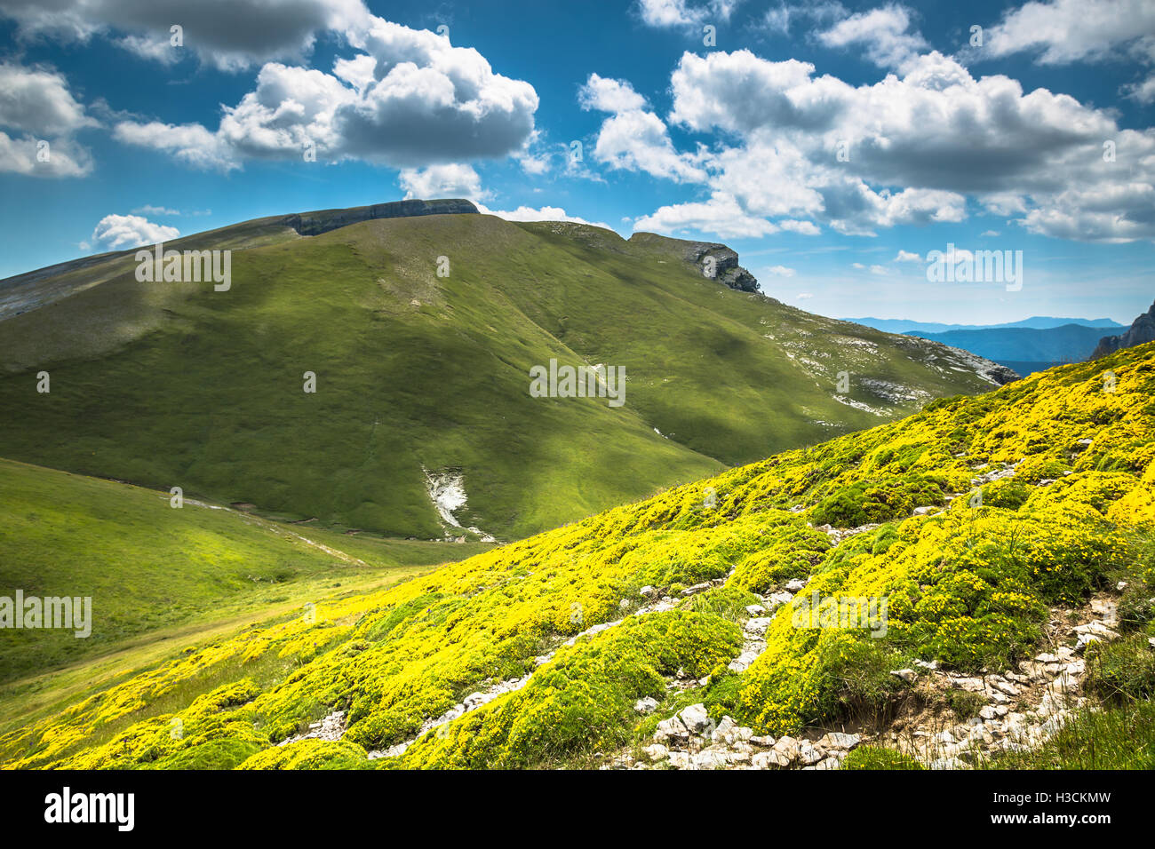 Pyrénées - paysage Canyon Anisclo en été. Huesca, Espagne Banque D'Images