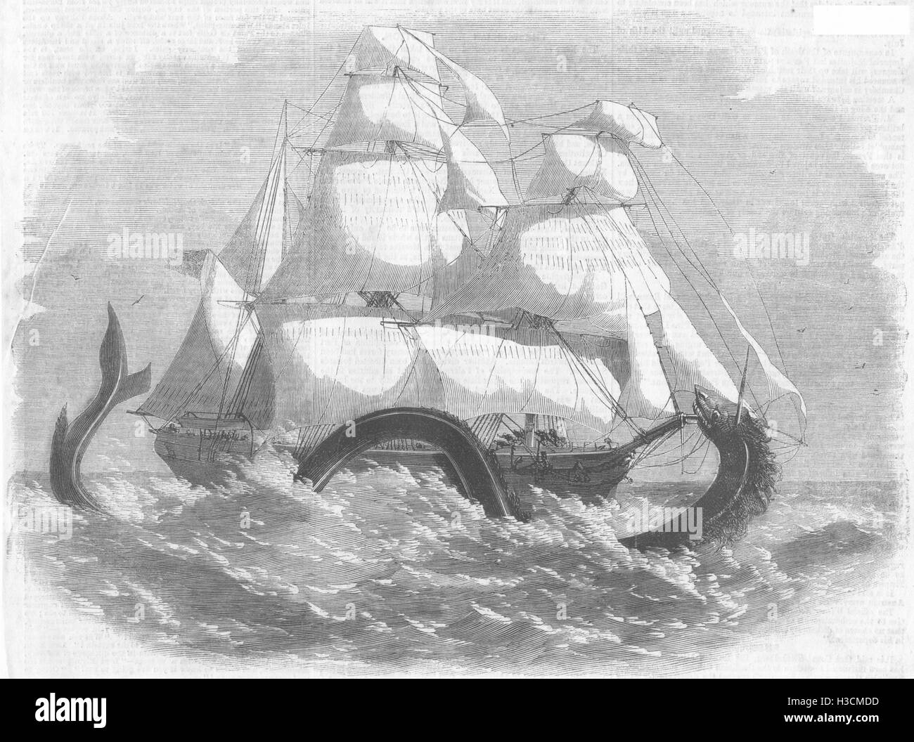 Les navires la Barque La bannière attaqué par un serpent de mer 1860. L'Illustrated London News Banque D'Images