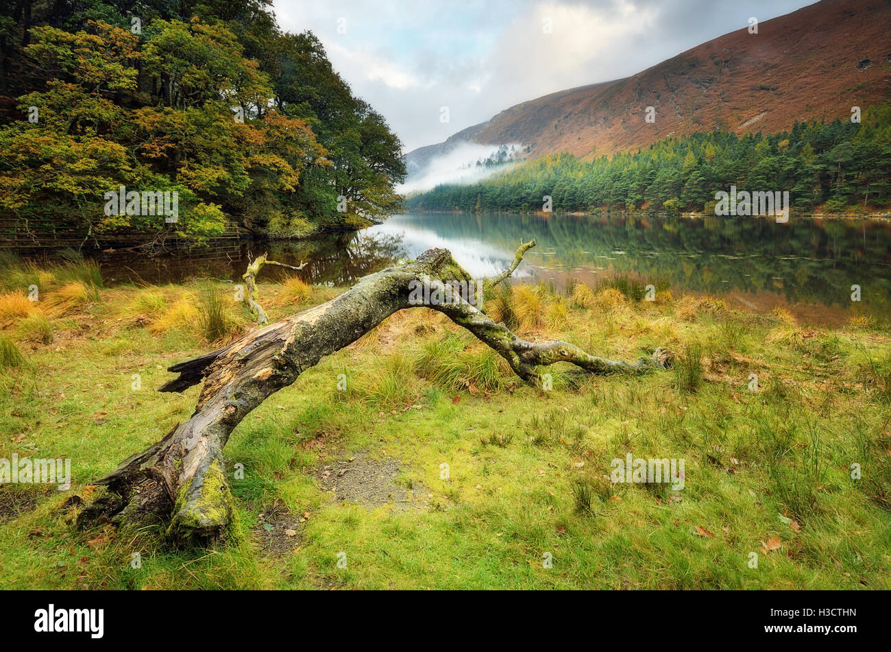 Glendalough lake en montagnes de Wicklow, Irlande Banque D'Images