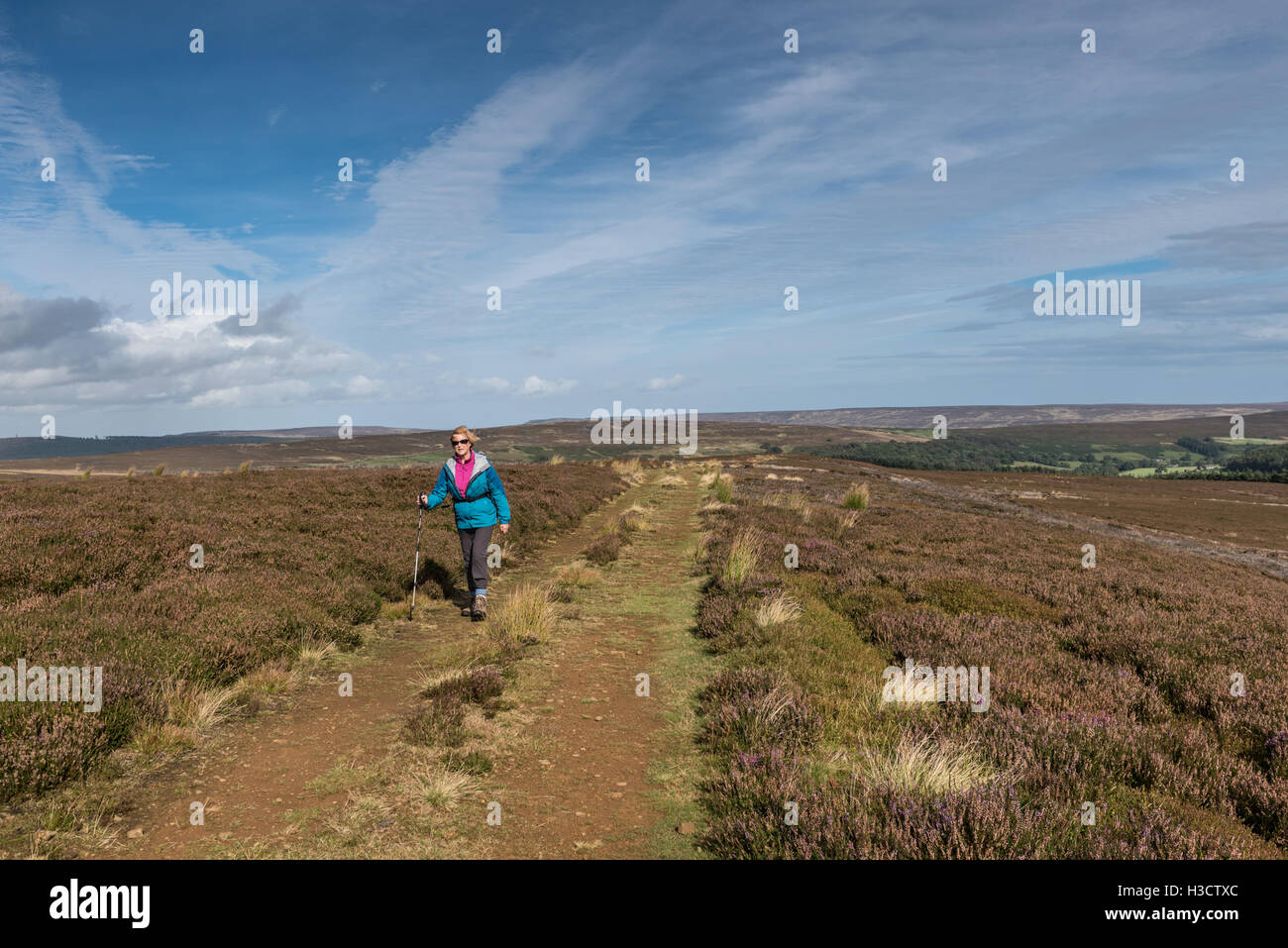 Une Route Middle Head bridleway sur Ingleby Moor dans le North York Moors Banque D'Images