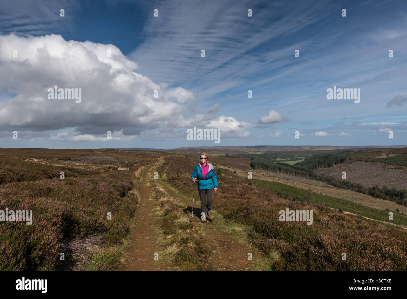 Une Route Middle Head bridleway sur Ingleby Moor dans le North York Moors Banque D'Images