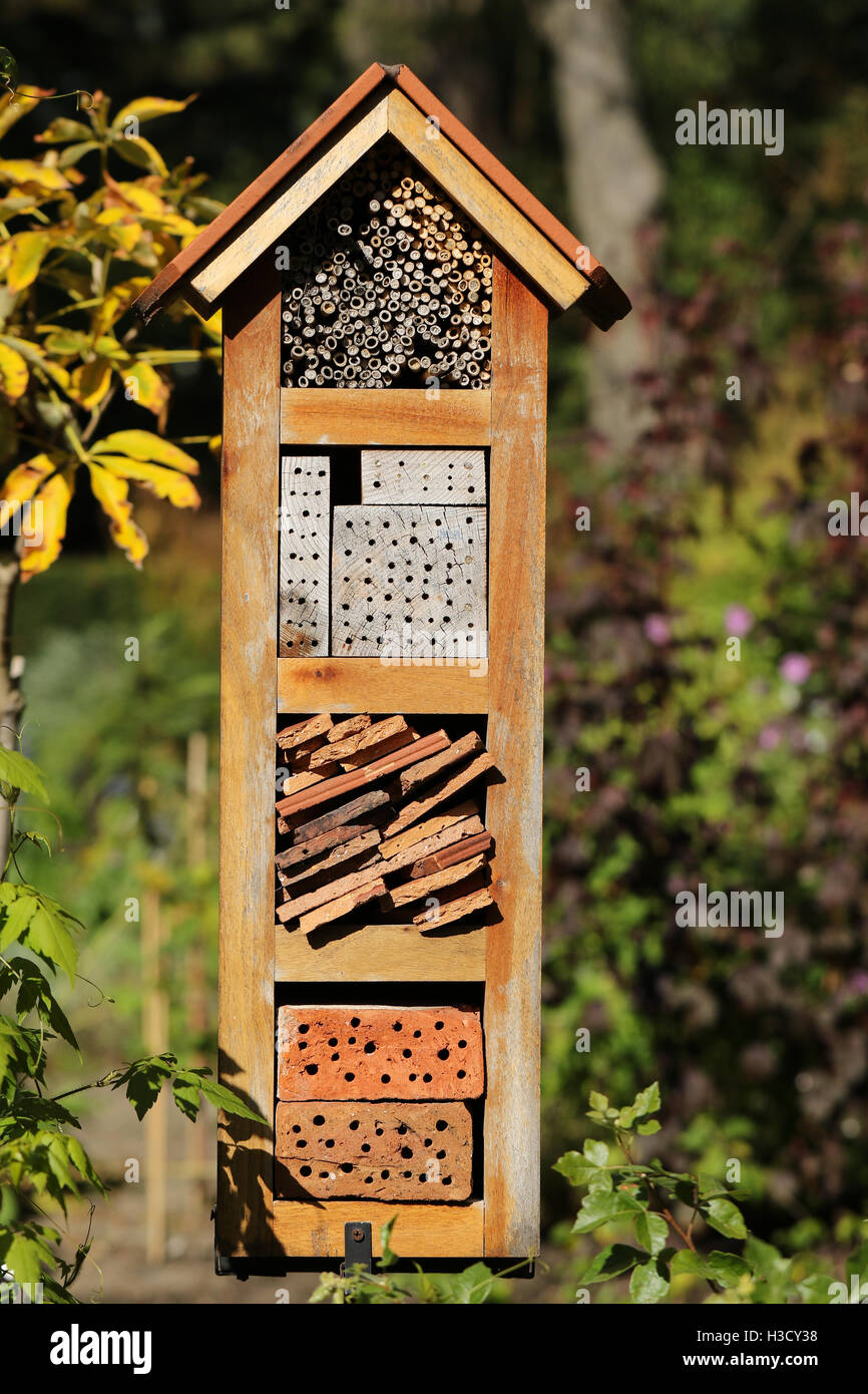 Maison des insectes dans le jardin close up Banque D'Images