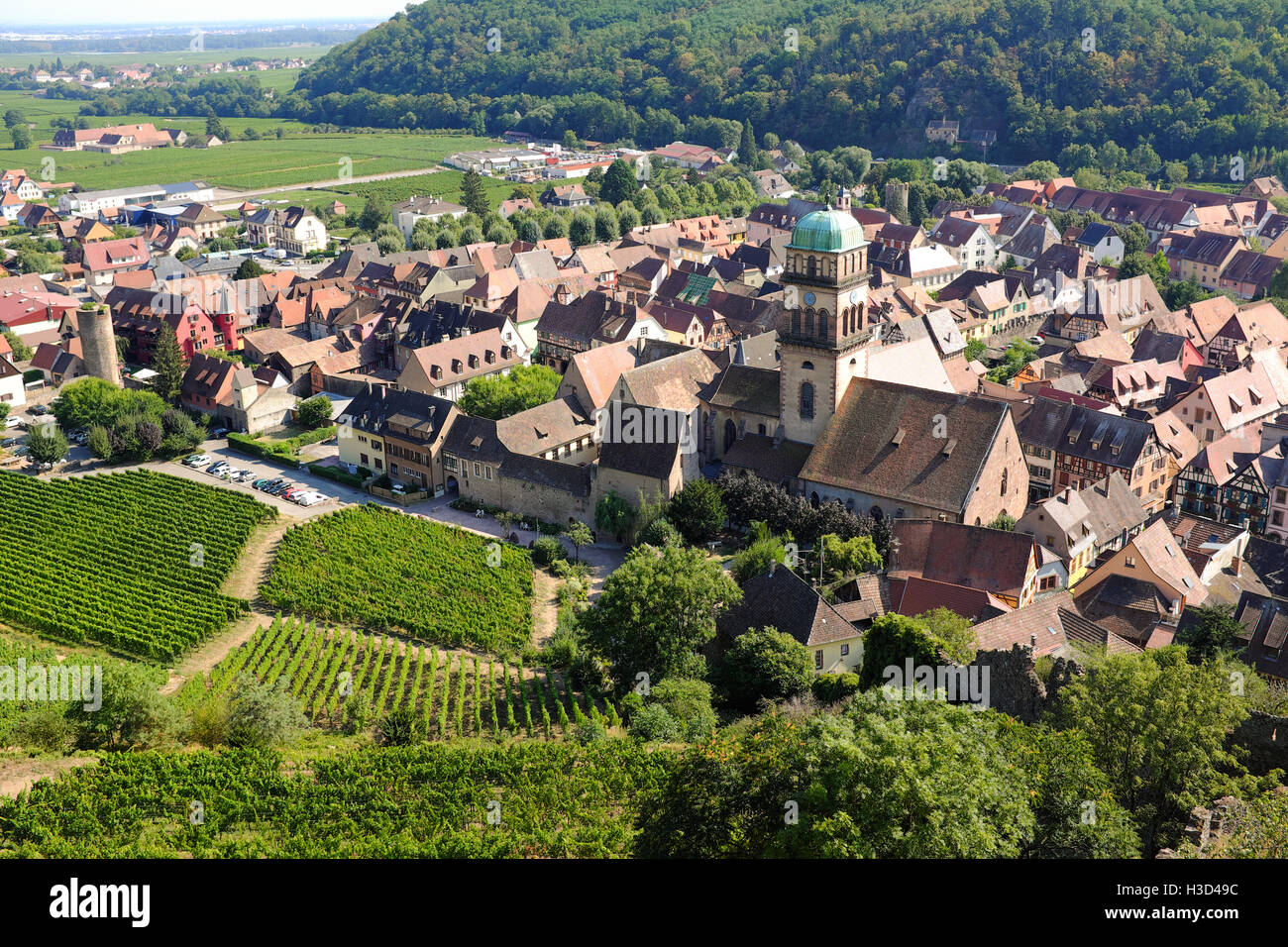 La vue de Kaysersberg, France et son vignoble de Château de Kaysersberg. Banque D'Images