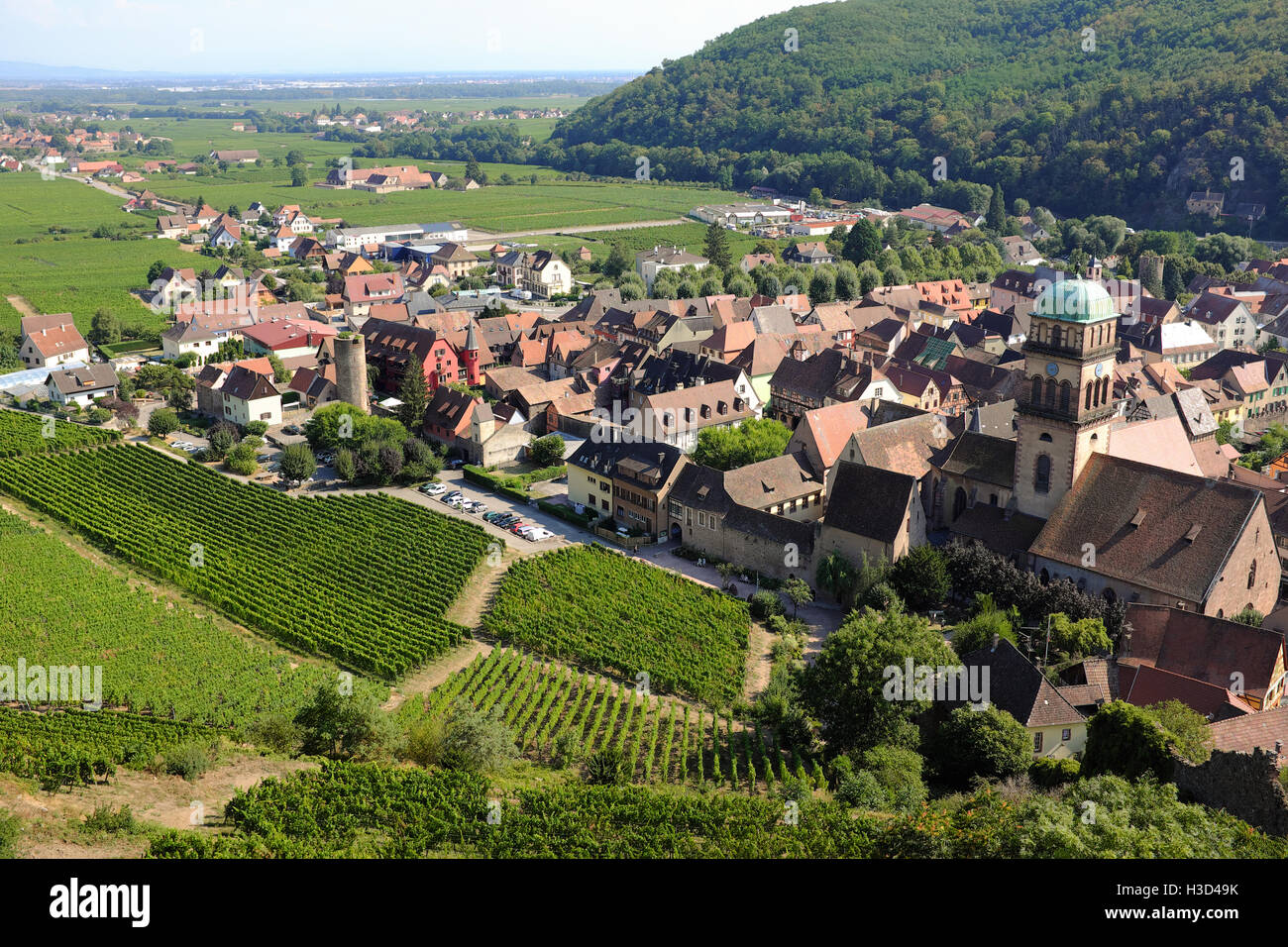 La vue de Kaysersberg, France et ses vignes depuis près du Château de Kaysersberg. Banque D'Images