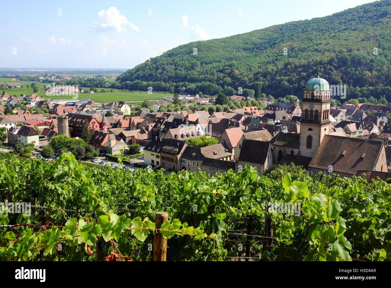 La vue de Kaysersberg, France des vignobles qui entourent la ville. Banque D'Images