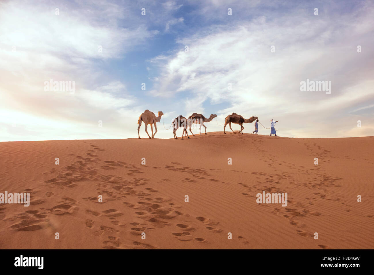 Les gens qui marchent avec des chameaux sur le sable dans le desert against sky Banque D'Images