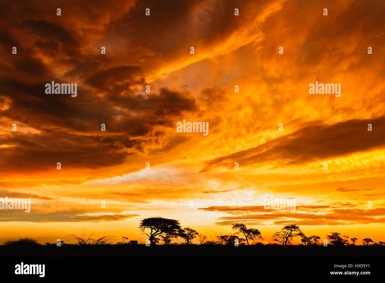 Coucher de soleil spectaculaire après une tempête à Makgadikgadi Pans National Park, Botswana Banque D'Images