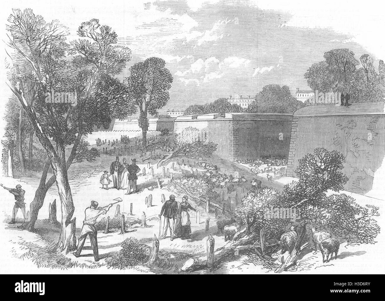 PARIS La défense de Paris à couper des arbres dans le Bois de Boulogne, 1870. L'Illustrated London News Banque D'Images