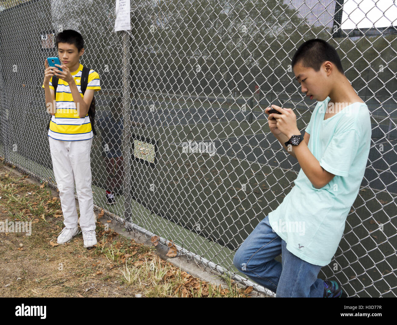 Les adolescents chinois dans le Chinatown de textos en section de Sunset Park, Brooklyn, New York, 2016. Banque D'Images