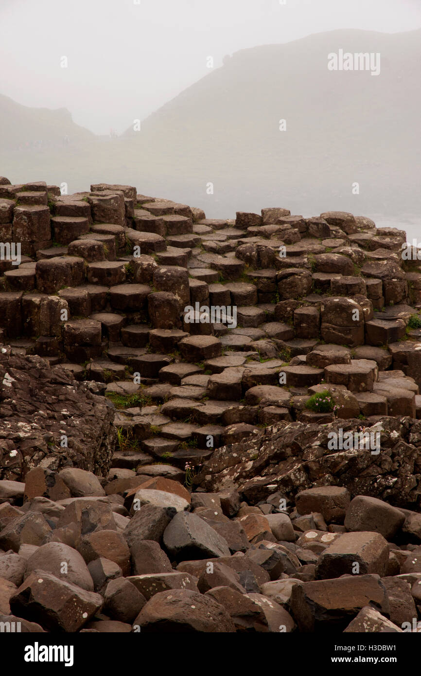 Chaussée des géants en Irlande du Nord Banque D'Images