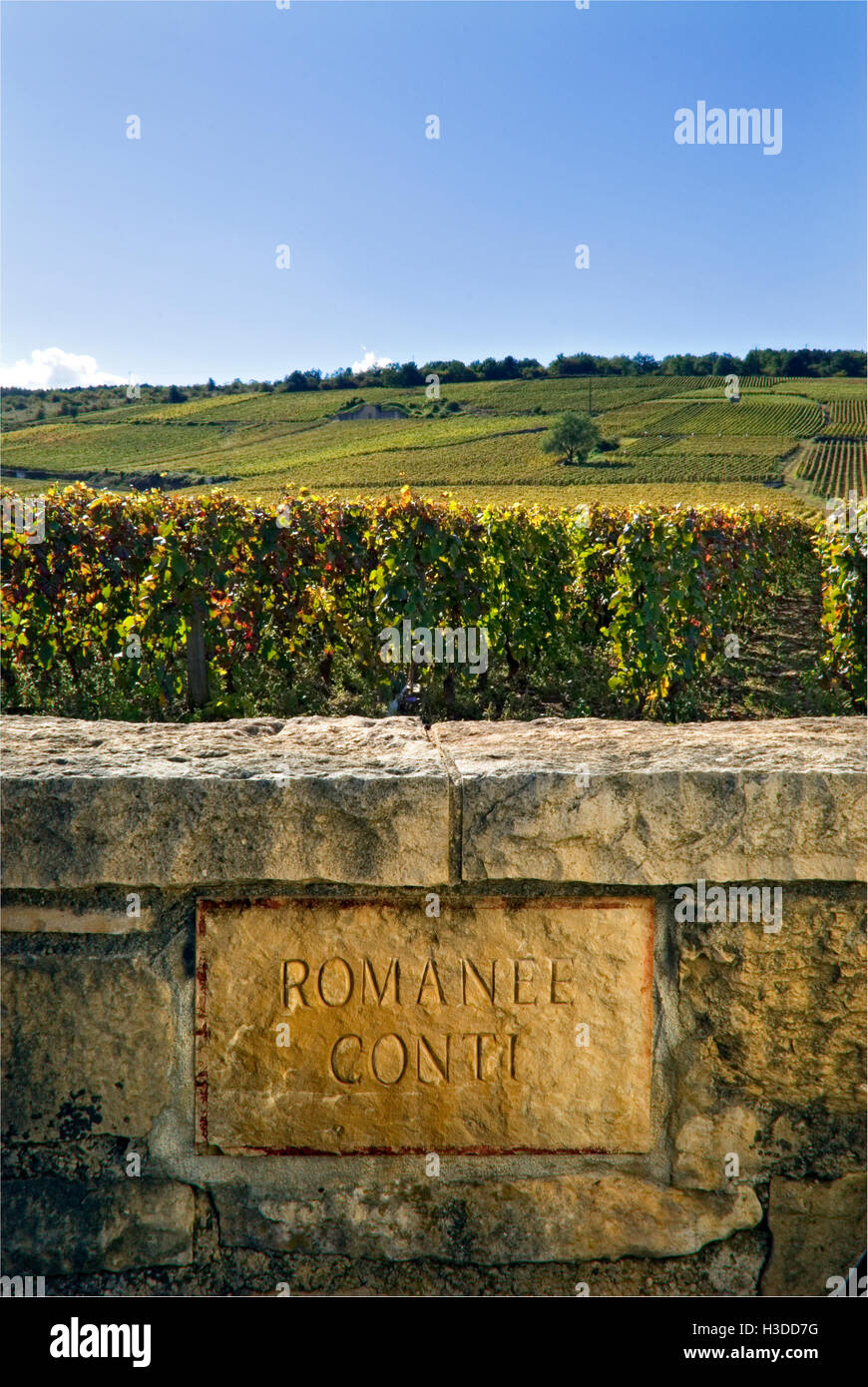 "Romanée-conti" plaque de pierre gravée dans mur historique de vignoble Domaine de la Romanée-conti Richebourg Cote d'Or France Banque D'Images