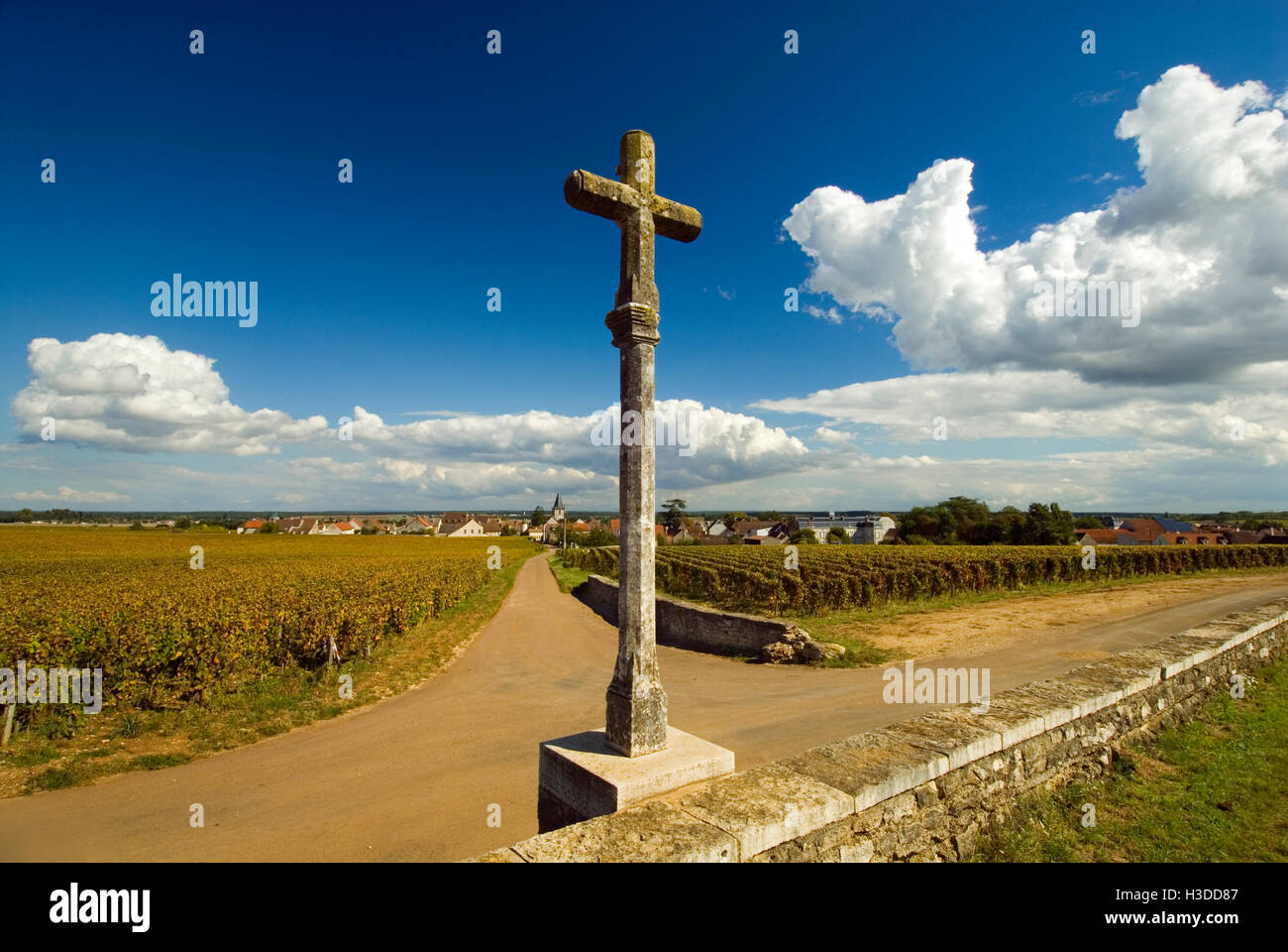 ROMANÉE conti- croix de pierre au pied du paysage viticole de Romanée-conti avec Romanee-St-vivant derrière, Vosne-Romanée, Cote d'Or, France Banque D'Images