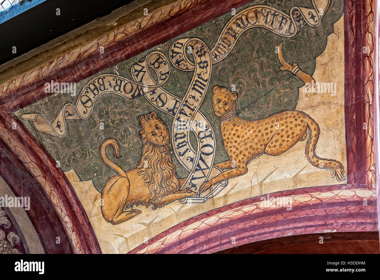 Italie Emilie Romagne Vignola la forteresse - Particolar -Leopard et
