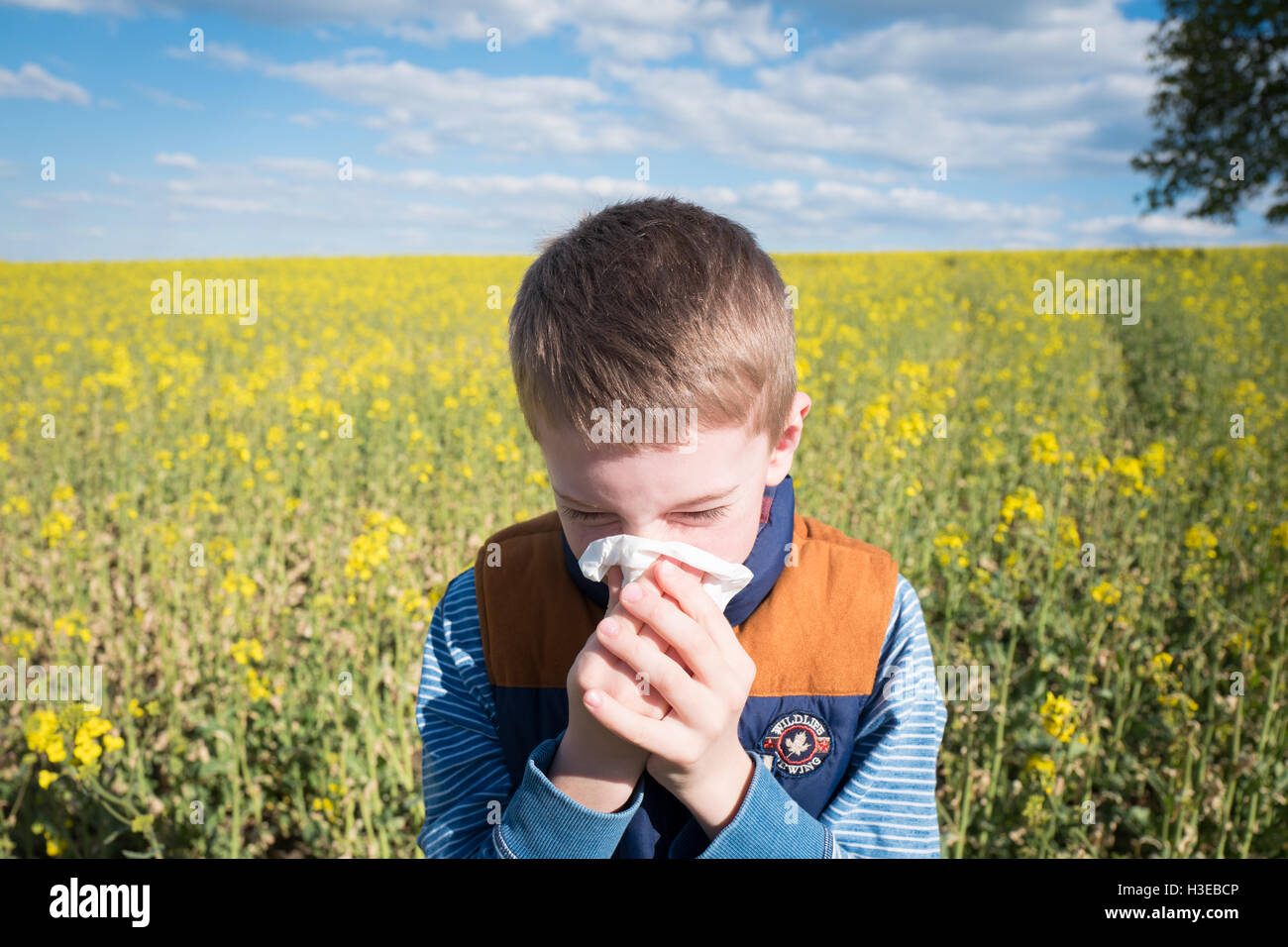 Garçon d'éternuements et soufflant son nez et souffrant d'une allergie au pollen. Banque D'Images