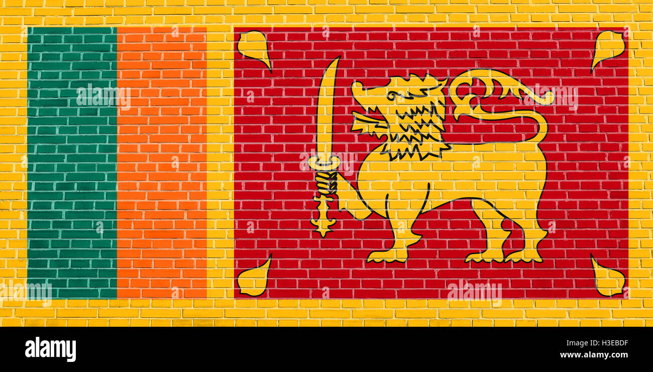 Les Sri Lankais de drapeau officiel. Symbole patriotique, bannière, élément, arrière-plan. Les dimensions exactes. Bonne taille, couleurs. Banque D'Images