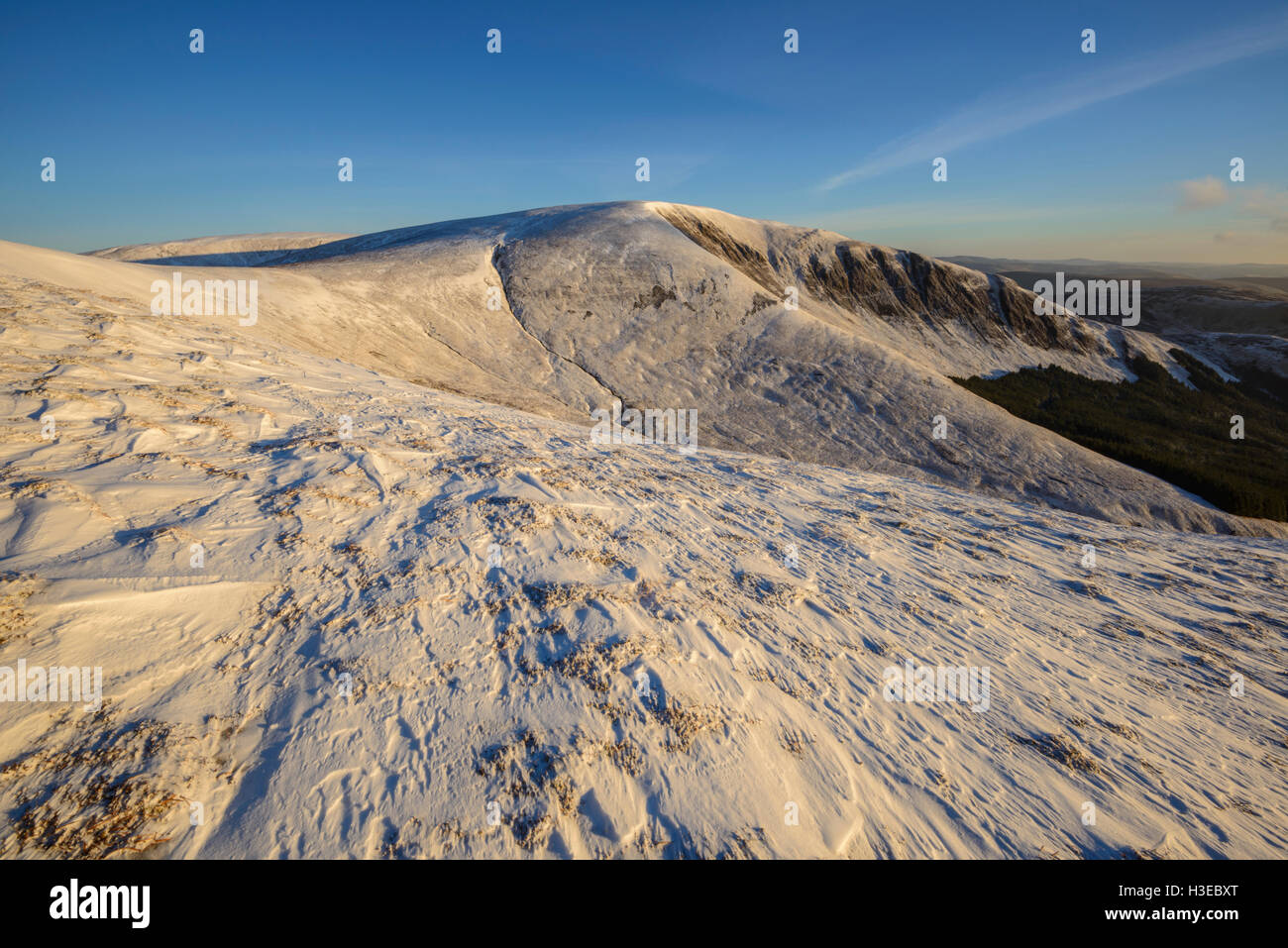 Coombs (un blanc) dans la neige hiver Corbett, Grey Mare's Tail réserve naturelle, près de Moffat, Dumfries & Galloway, Scotland. Banque D'Images