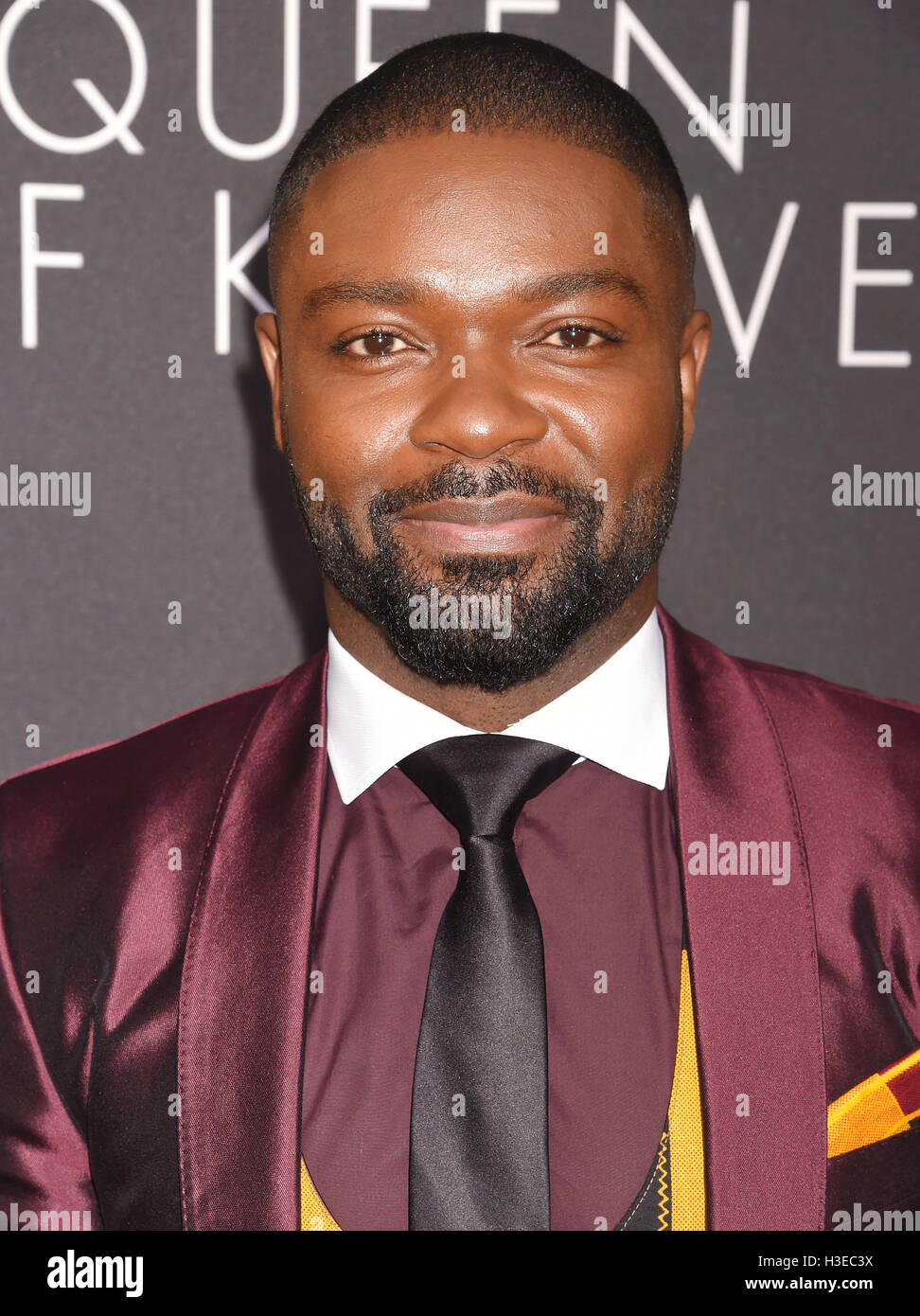 DAVID OYELOWO acteur nigérian britannique en septembre 2016. Photo Jeffrey Mayer Banque D'Images