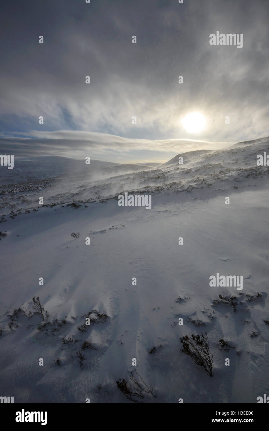 Bien briser à travers les nuages sur une lande couverte de neige, la queue de jument grise réserve naturelle, près de Moffat, Dumfries & Galloway Banque D'Images