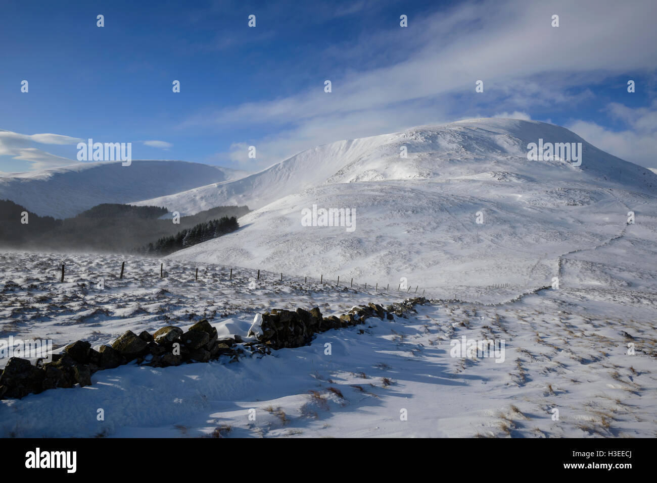 Coombs (un blanc) dans la neige hiver Corbett, Grey Mare's Tail réserve naturelle, près de Moffat, Dumfries & Galloway, Scotland. Banque D'Images