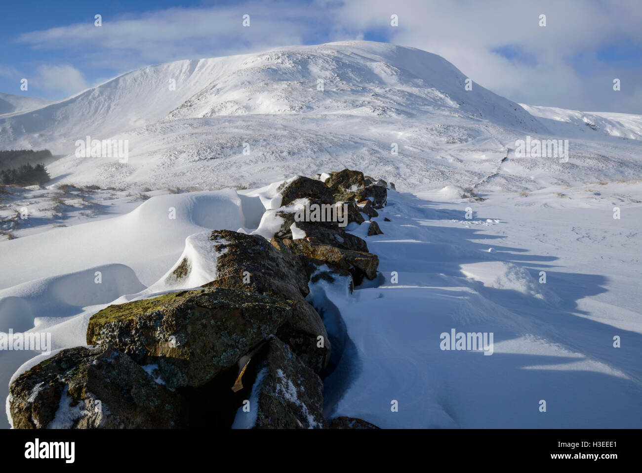 Coombs (un blanc) dans la neige hiver Corbett, Grey Mare's Tail réserve naturelle, près de Moffat, Dumfries & Galloway, Scotland. Banque D'Images