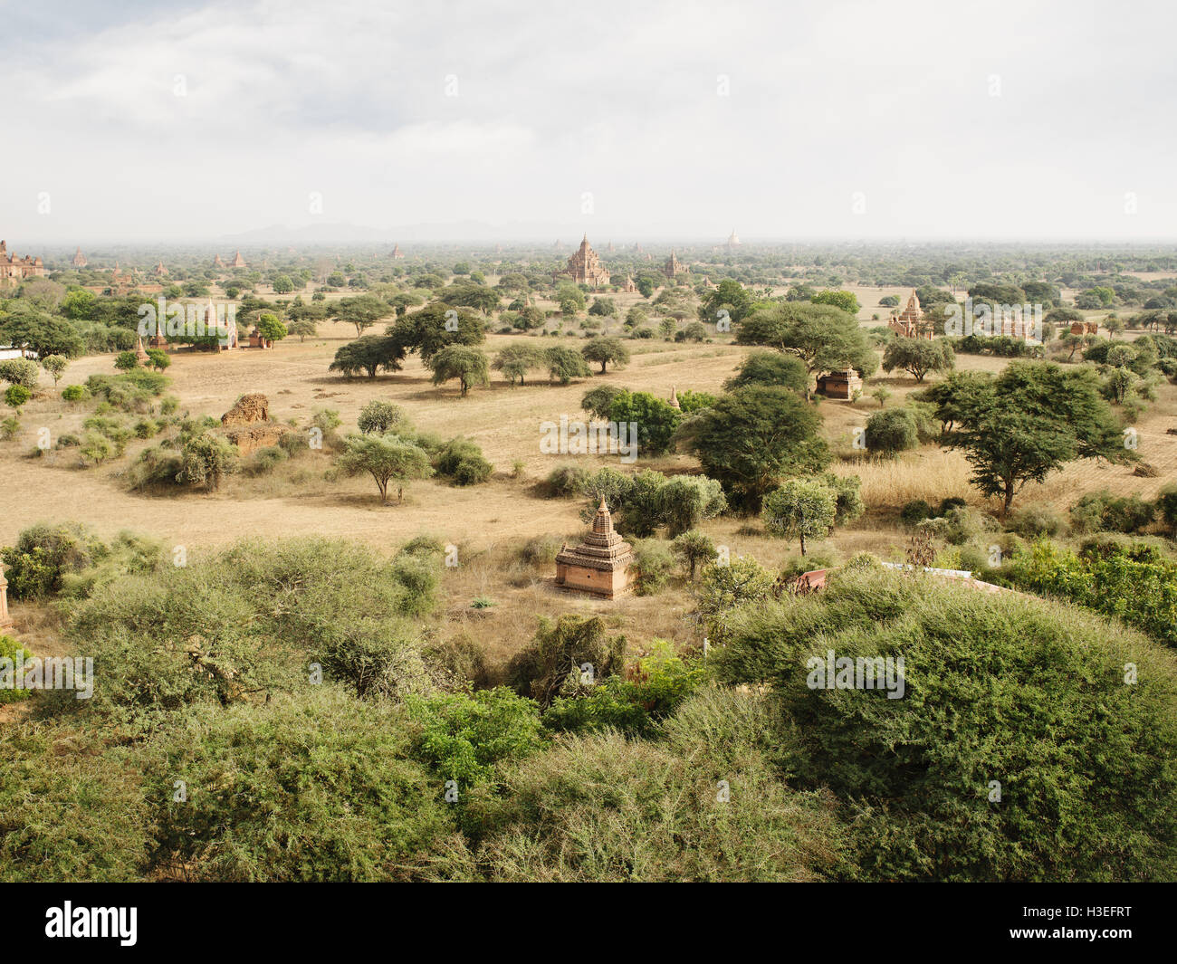 Les temples bouddhistes peut être vu à des kilomètres dans le Myanmar Bagan Villages. Myanmar (Birmanie) est l'un des plus fervents lieux bouddhistes. Banque D'Images