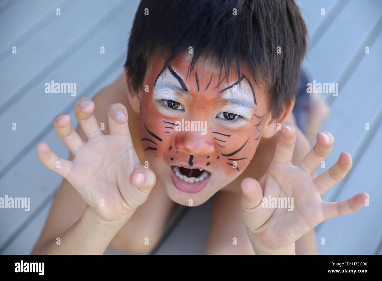 Jeune garçon avec amusement la peinture du visage comme un tigre Banque D'Images