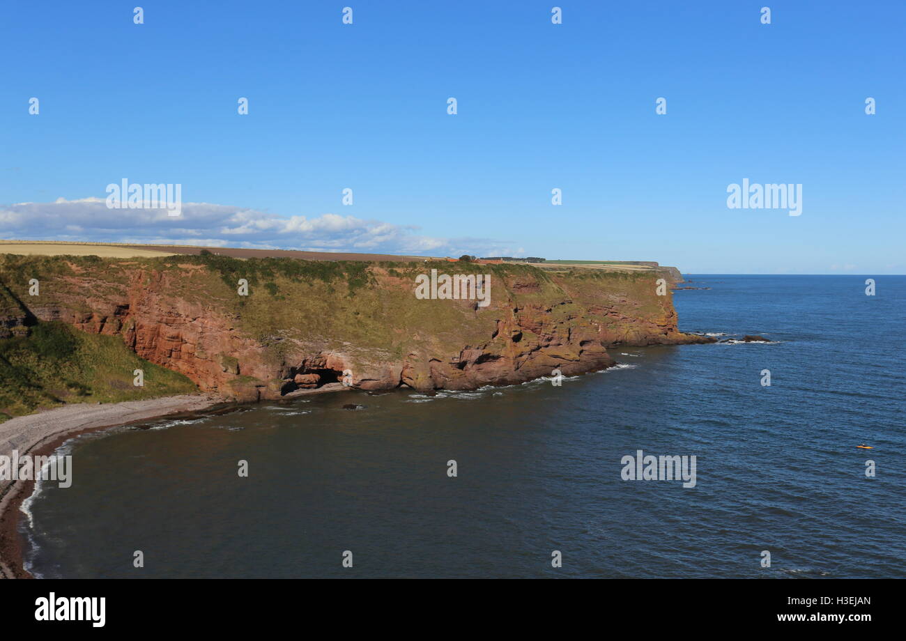 Falaises et Carlingheugh Bay Angus Scotland Octobre 2016 Banque D'Images