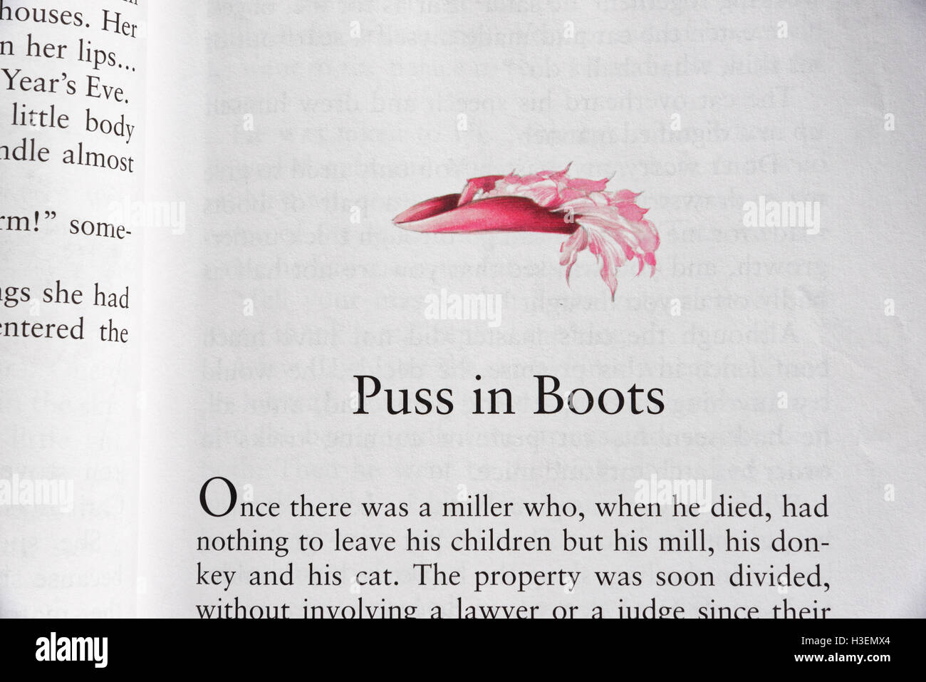 Puss in Boots dans un livre de contes Banque D'Images