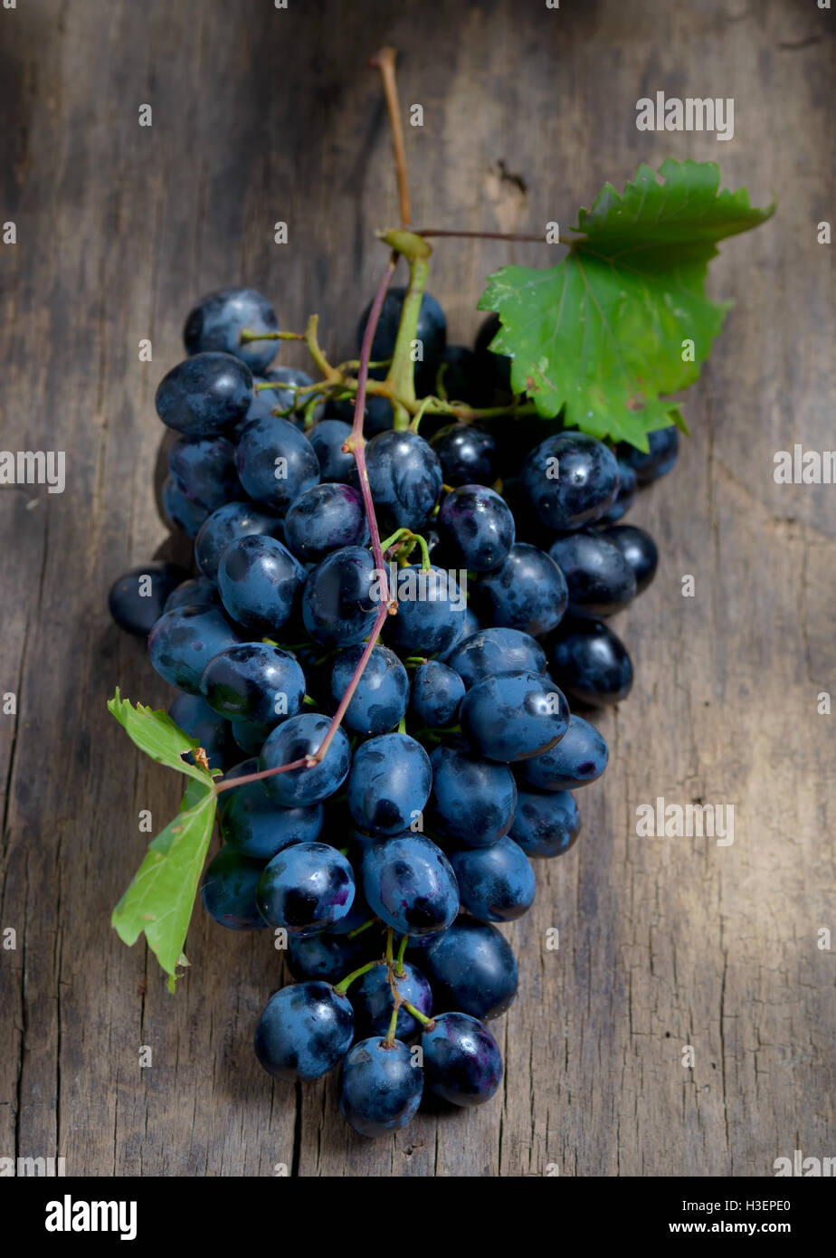 Grappe de raisin rouge raisin rouge Banque de photographies et d’images