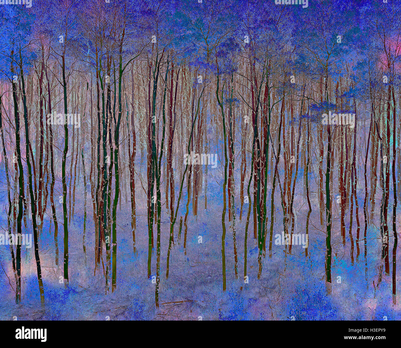 L'ART NUMÉRIQUE : trembles dans les montagnes Rocheuses, le Colorado, USA Banque D'Images