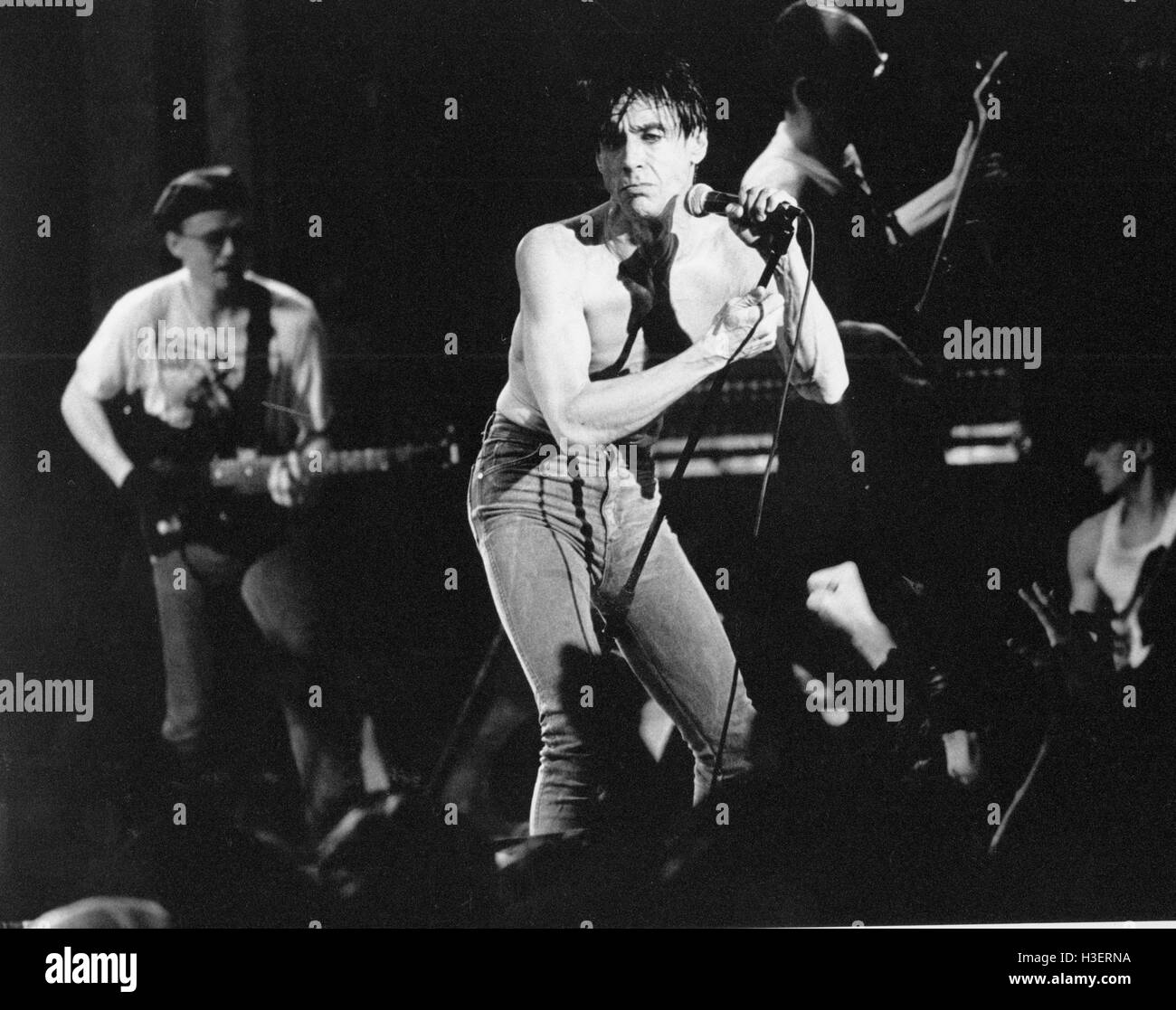 Comme des garçons iggy pop hot sale