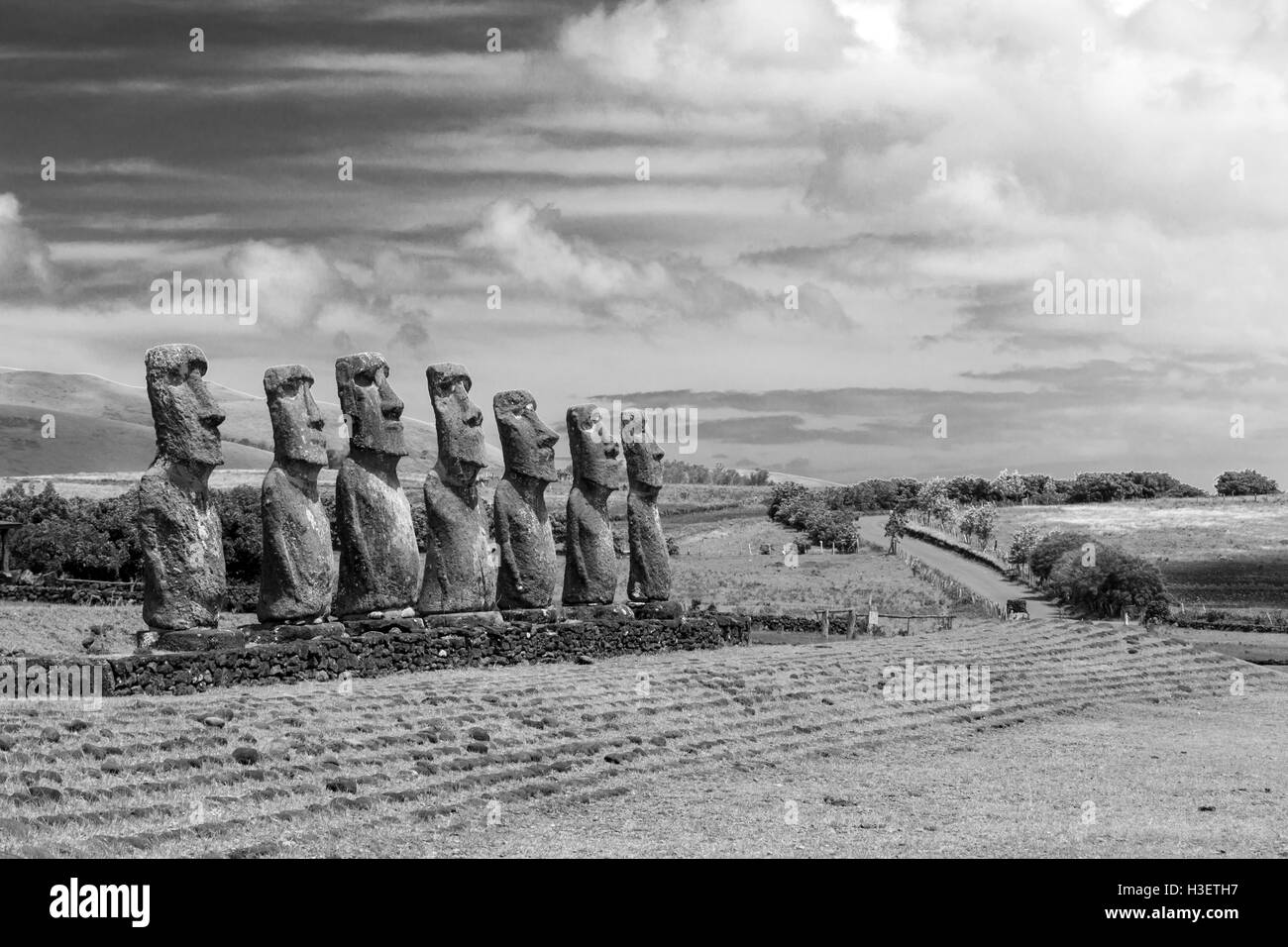 Photo en noir et blanc des statues moai de l'Ahu Akivi sur l'île de Pâques au Chili Banque D'Images