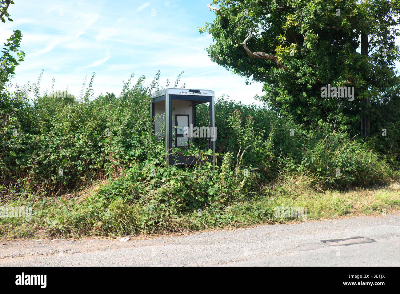 BT British Telecom téléphone public fort négligé en verre brisé et envahi par les ronces BT service Herefordshire UK Banque D'Images