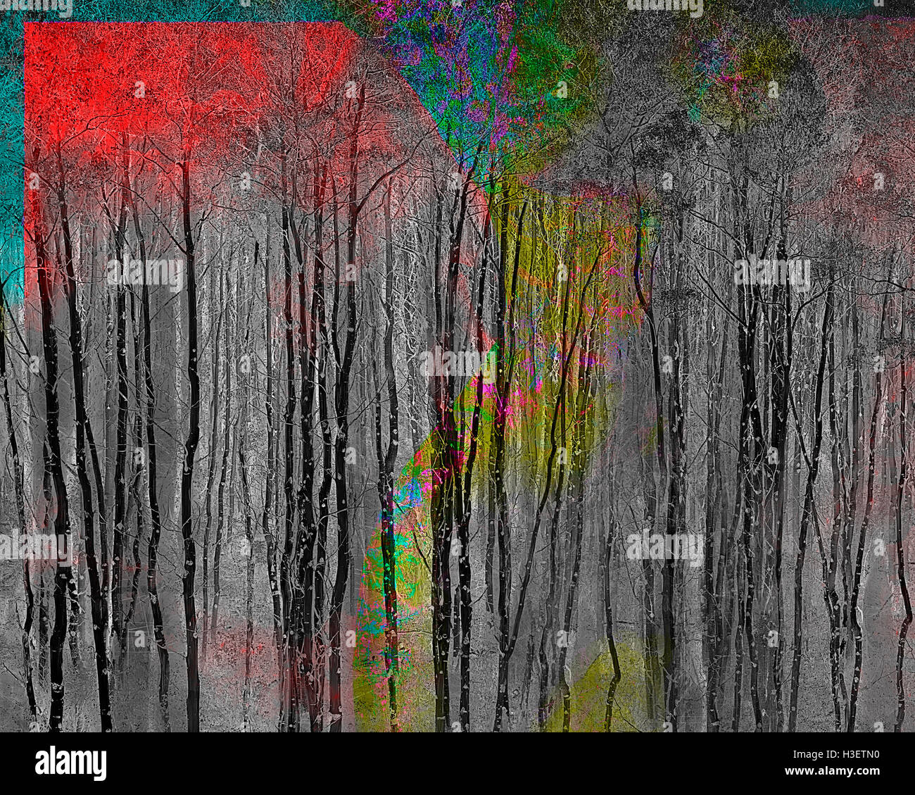 L'ART DE L'ENTREPRISE : trembles dans les montagnes Rocheuses, le Colorado, USA Banque D'Images
