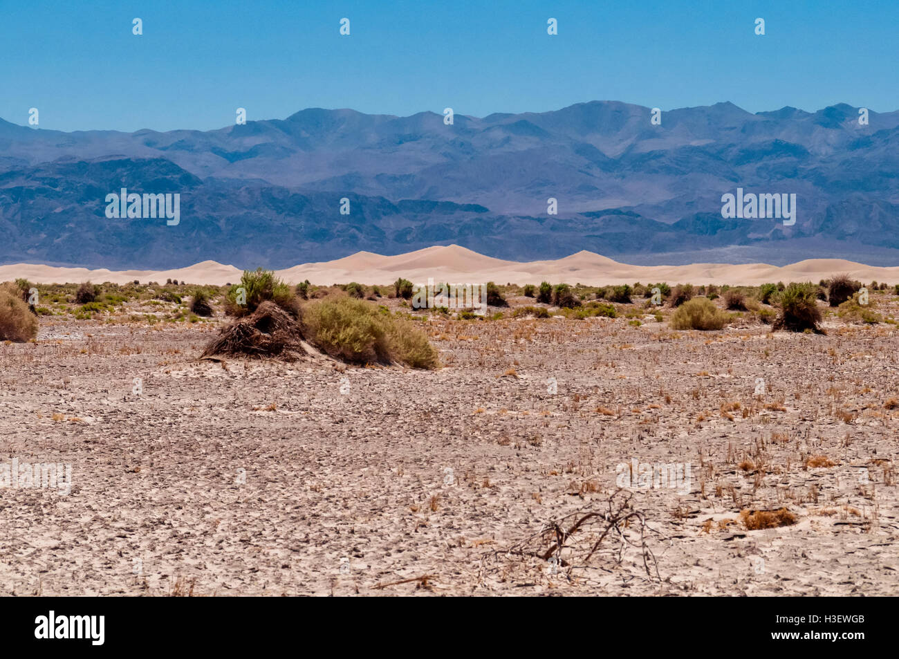 Les dunes de sable de la vallée de la mort et désert paysage Banque D'Images