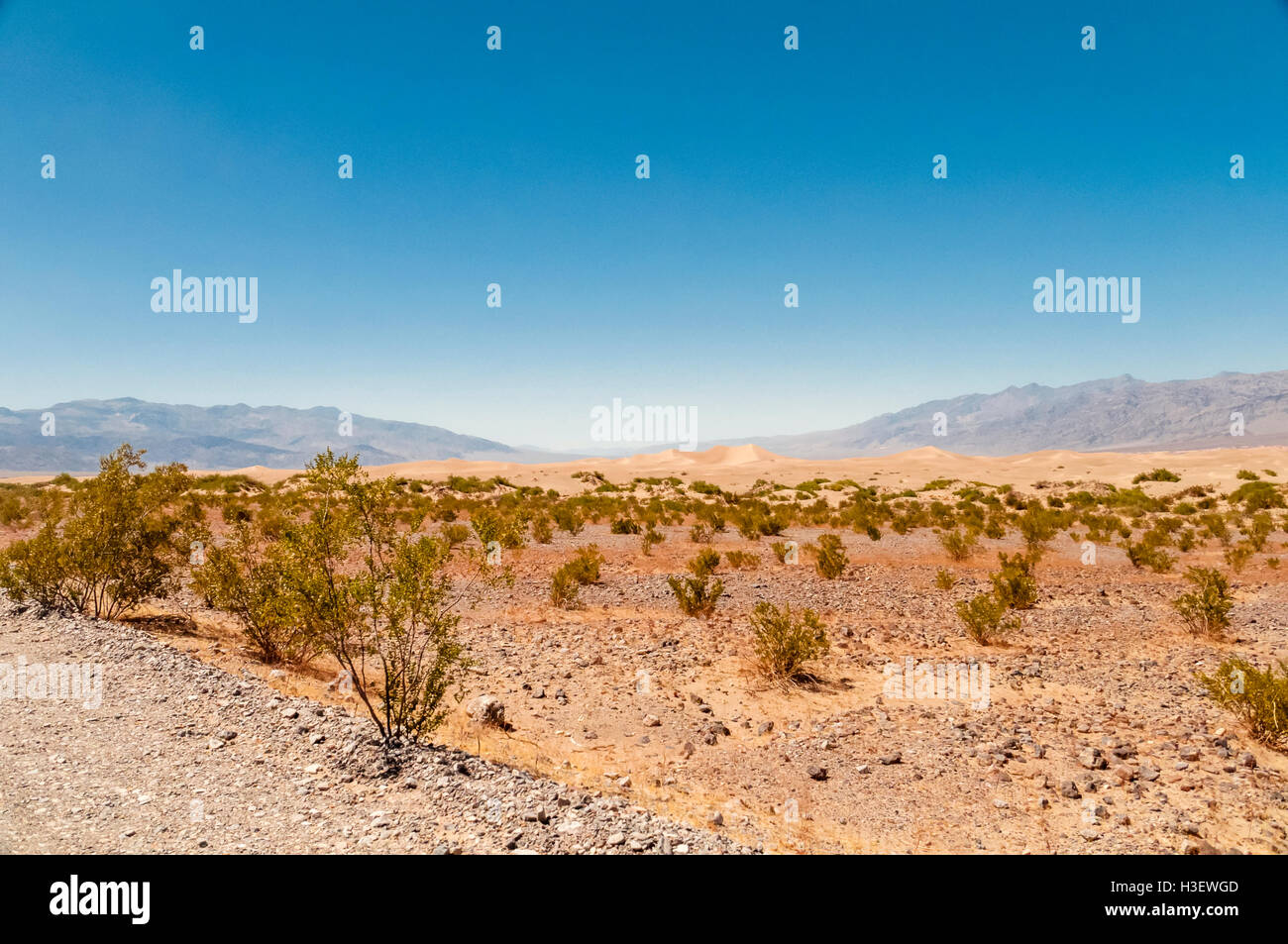 Les dunes de sable de la vallée de la mort et désert paysage Banque D'Images