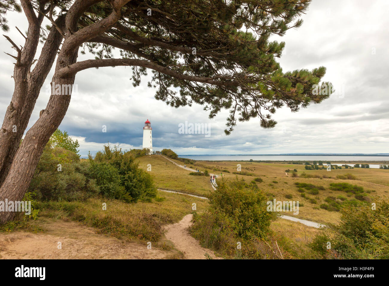 Paysage avec phare de l'île de Hiddensee, Dornbusch, Allemagne Banque D'Images