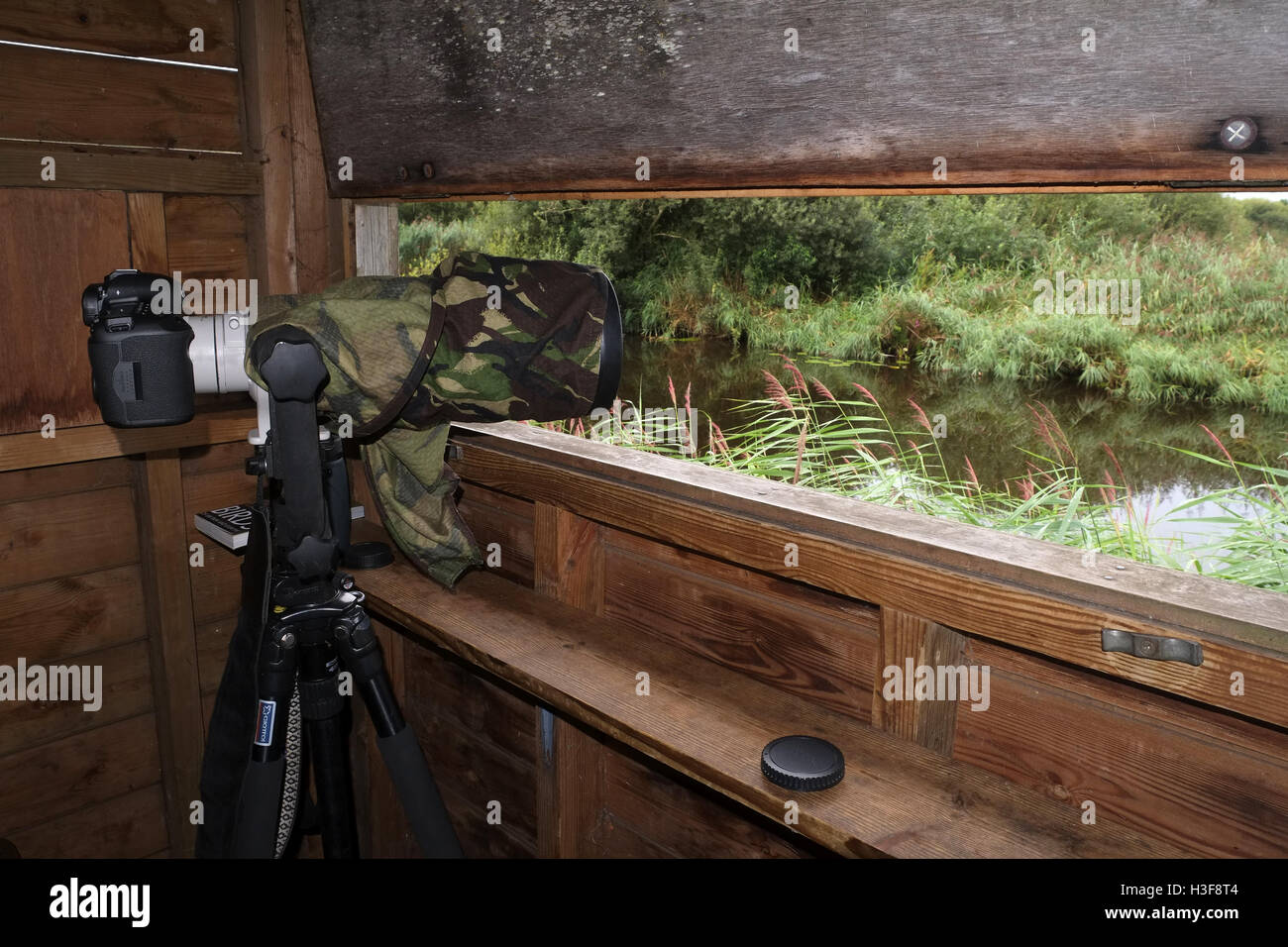 27 août 2016, grand appareil photo avec un objectif encore plus grand dans une observation des oiseaux en bois aveugles masquer Banque D'Images