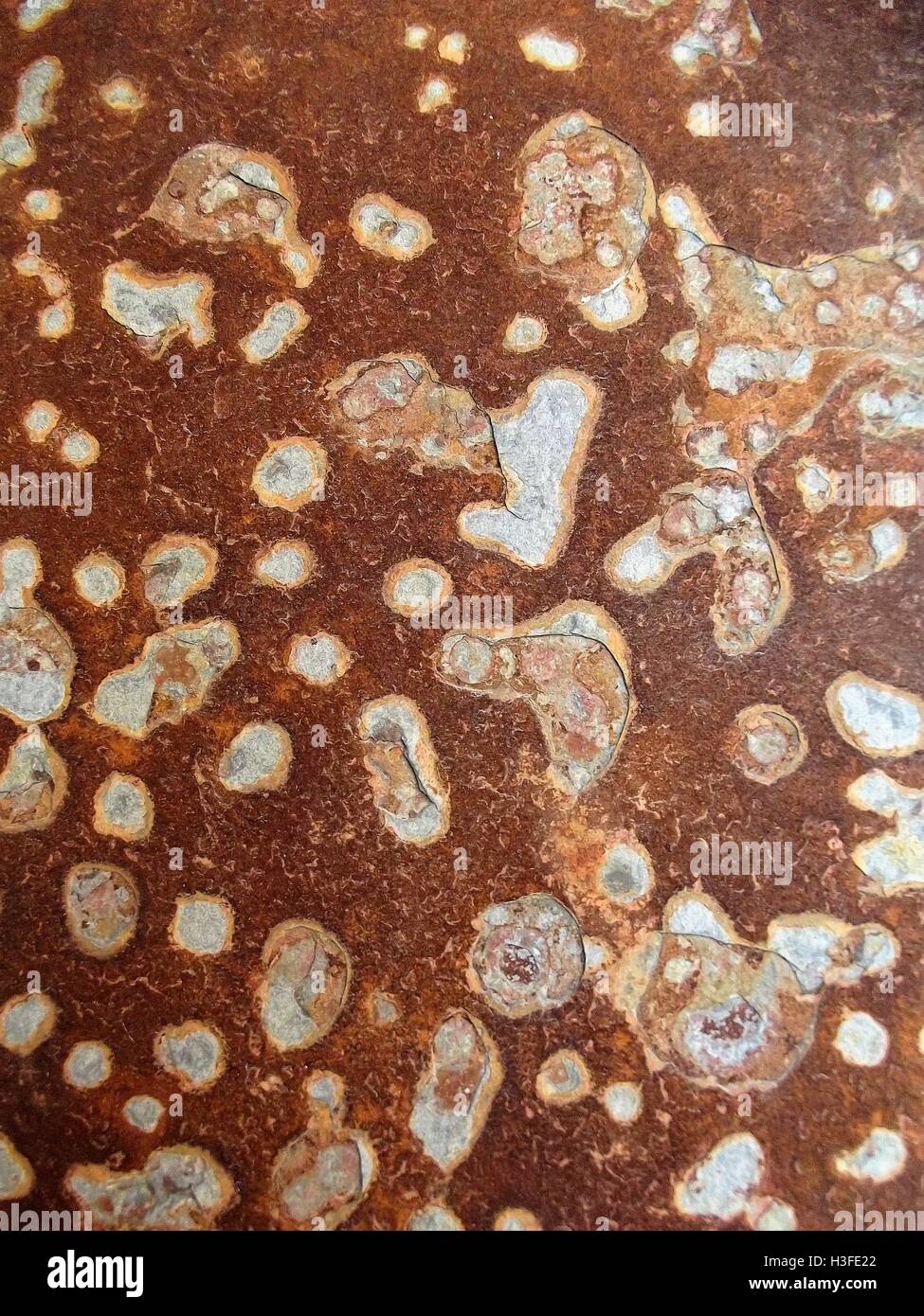 Texture carreau décoratif close-up. Banque D'Images