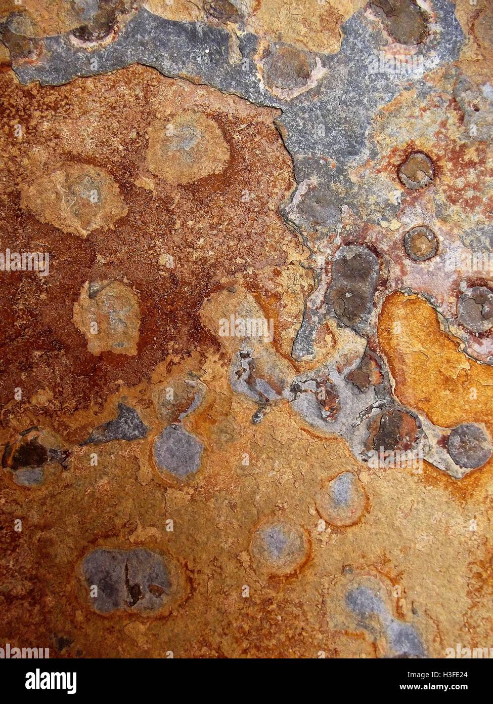 Texture carreau décoratif close-up. Banque D'Images