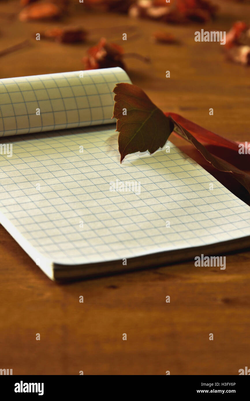 Blocs-notes et feuilles sur la surface en bois Banque D'Images