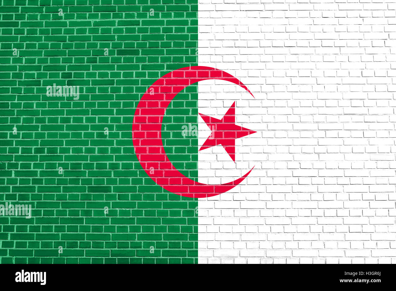 Drapeau officiel national algérien. Symbole patriotique africaine, bannière, élément, arrière-plan. Pavillon de l'Algérie au brick wall texture Banque D'Images